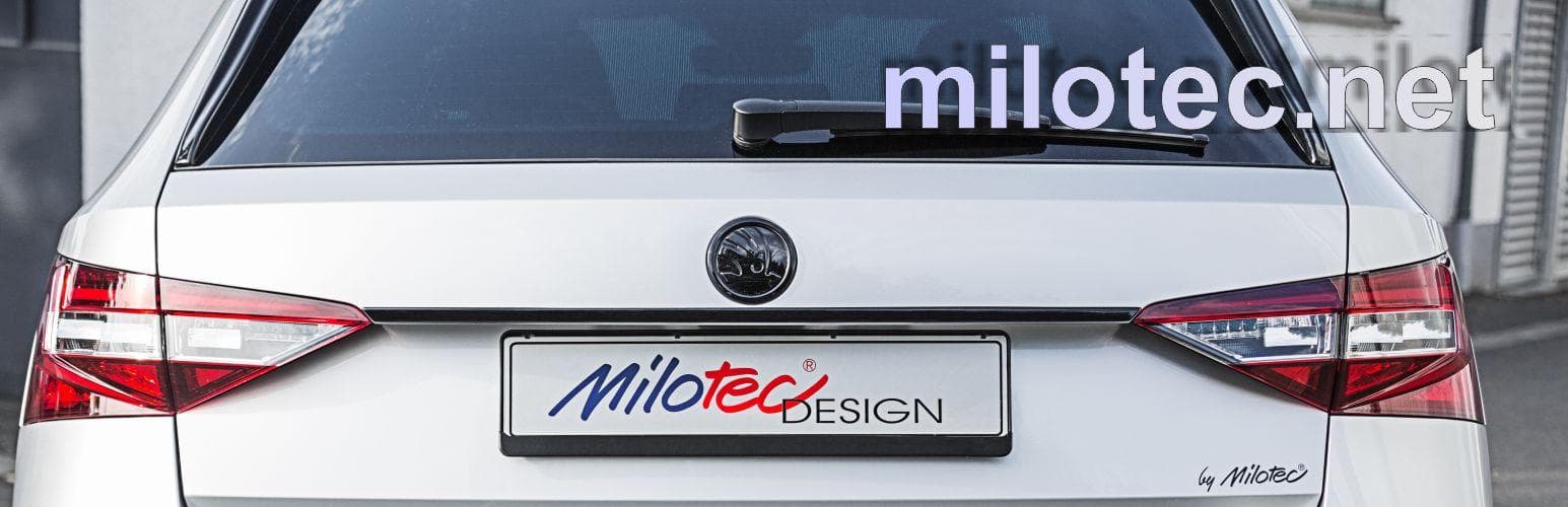 95804 Декоративная накладка над задним номерным знаком