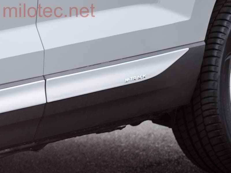 287215 Молдинг боковой двери