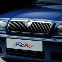 Накладка на решітку thumbnail 1