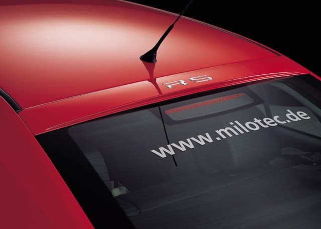 41904 Rear window trim